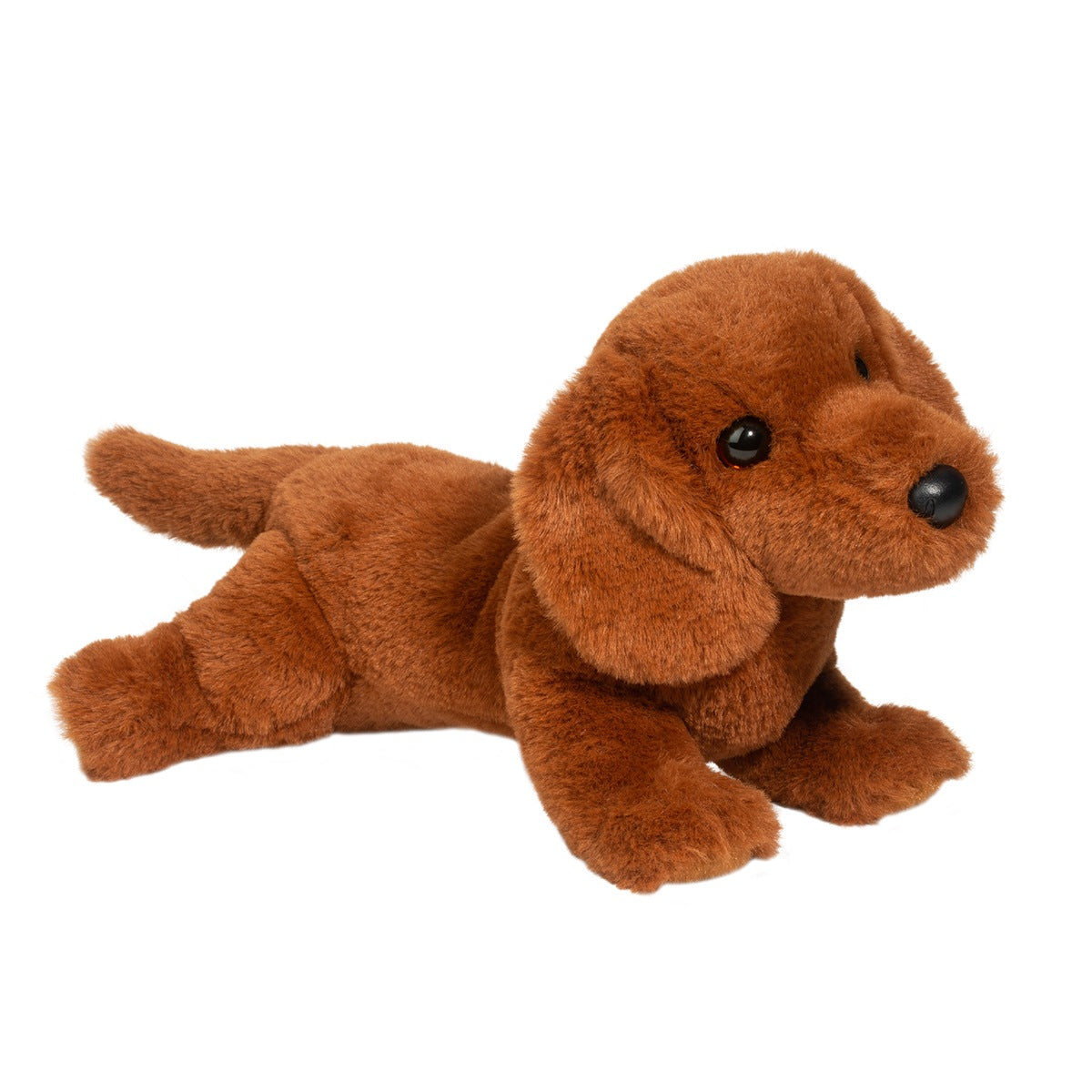 Delanie Dachshund