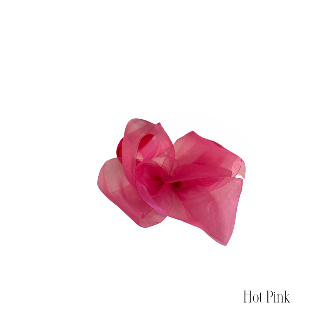 Organza Hair Clip Bow