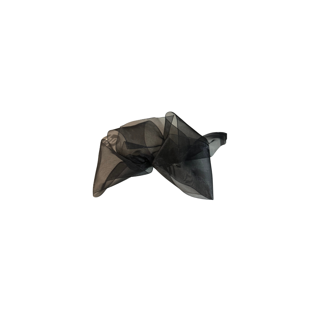 Organza Hair Clip Bow