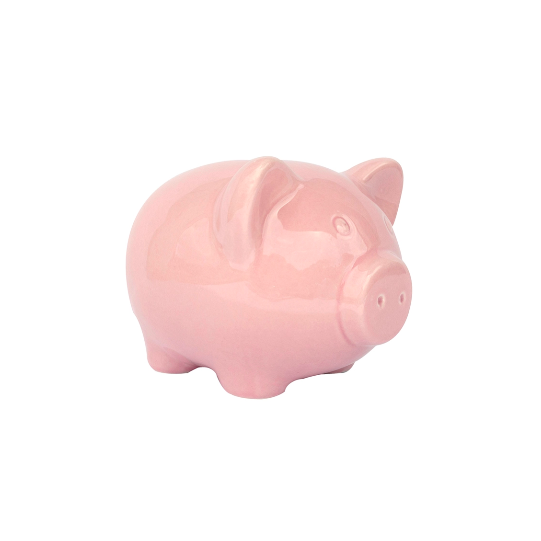 Ceramic Piggy Bank